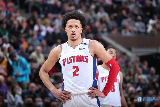 雄鹿不论是 雄鹿不论是