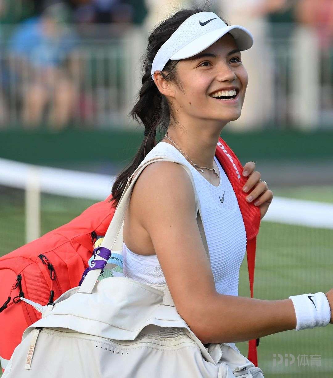 佩德里和加 佩德里和加